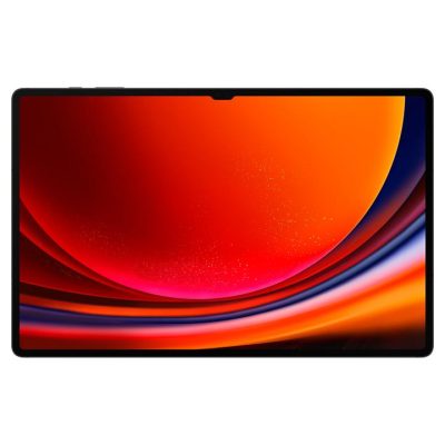 Samsung Galaxy Tab S9 Ultra 14.6" Wi-Fi 512GB Grey SM-X910NZAEXSA