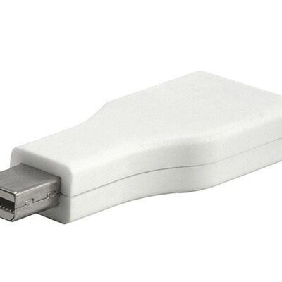 Mini Display port Male to Standard Display Port Female Convertor Adaptor