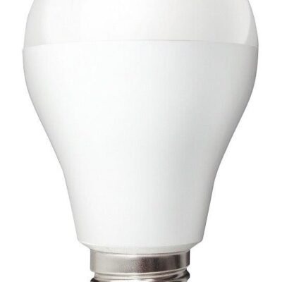 LEDware LED 9W (720 lm) Warm White E27 Edison Screw Lightbulb (Equivalent to: 60W incandescent)