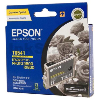 Epson Genuine T0541 Photo Black Ink Cartridge - 550 pages [C13T054190]